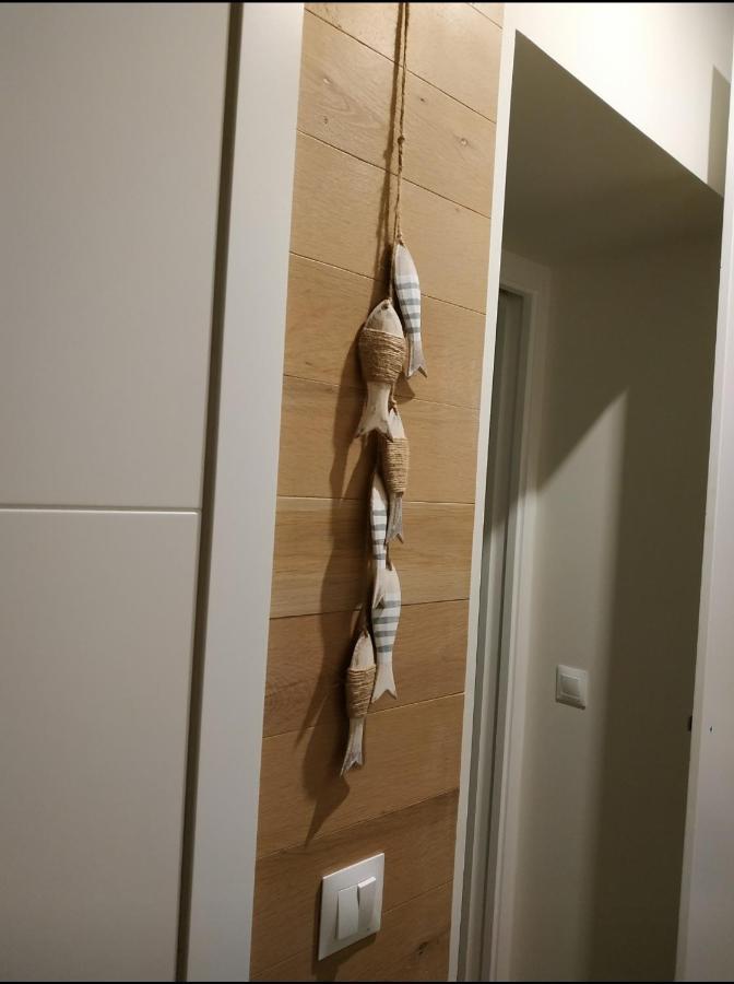 Apartamento - Patio 1812 カディス エクステリア 写真